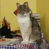 Отзыв от Ирина Толкачева